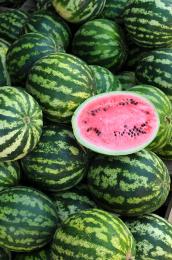 Redwatermelon